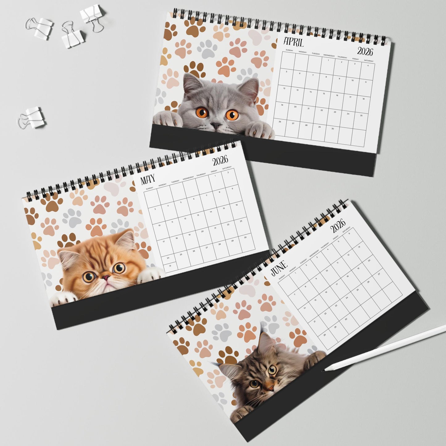 2026 Peeking Cat Desktop Calendar: Whimsical Planner Gift
