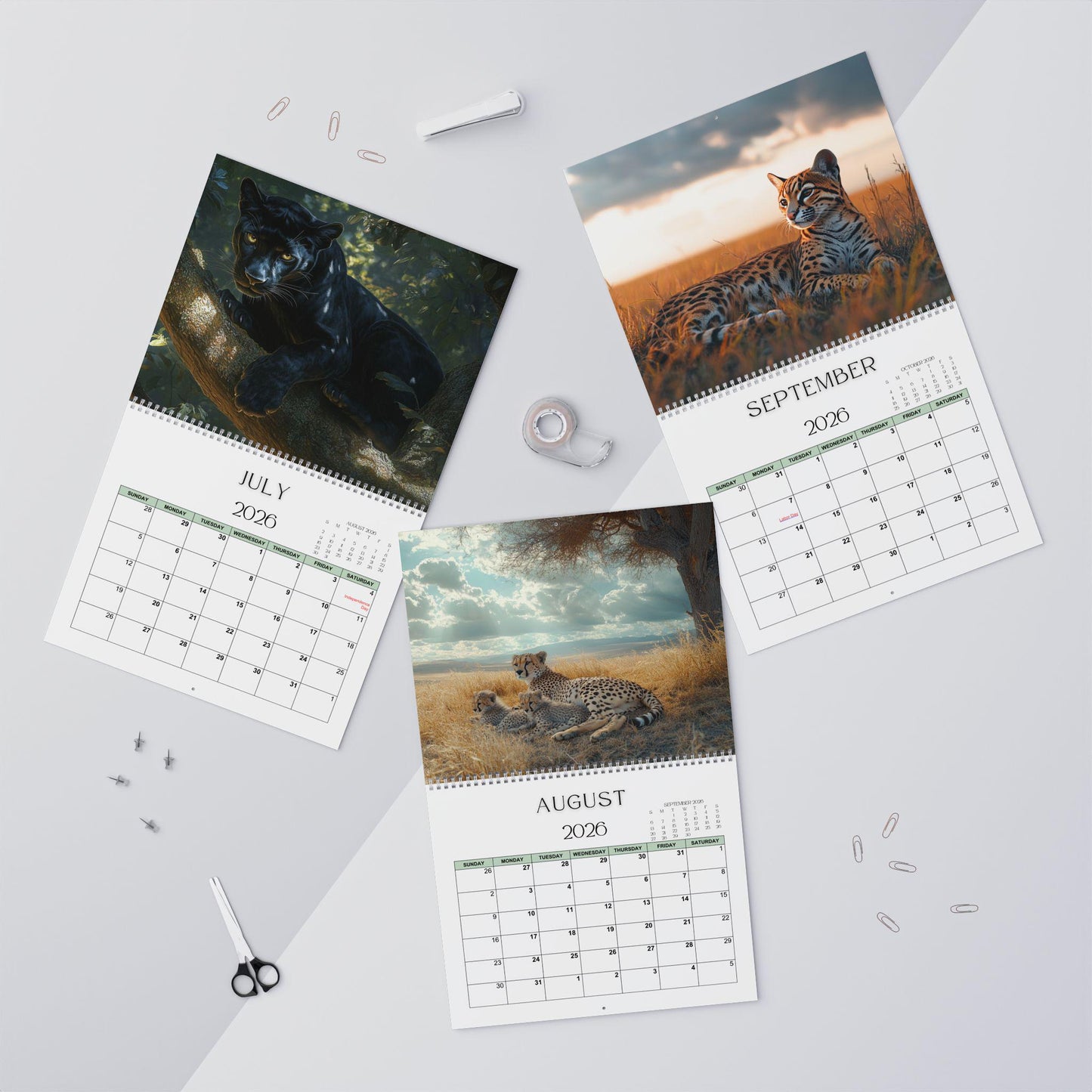 2026 Large Feline Wall Calendar: Monthly Planner with Adorable Cat Photos for Animal Lovers