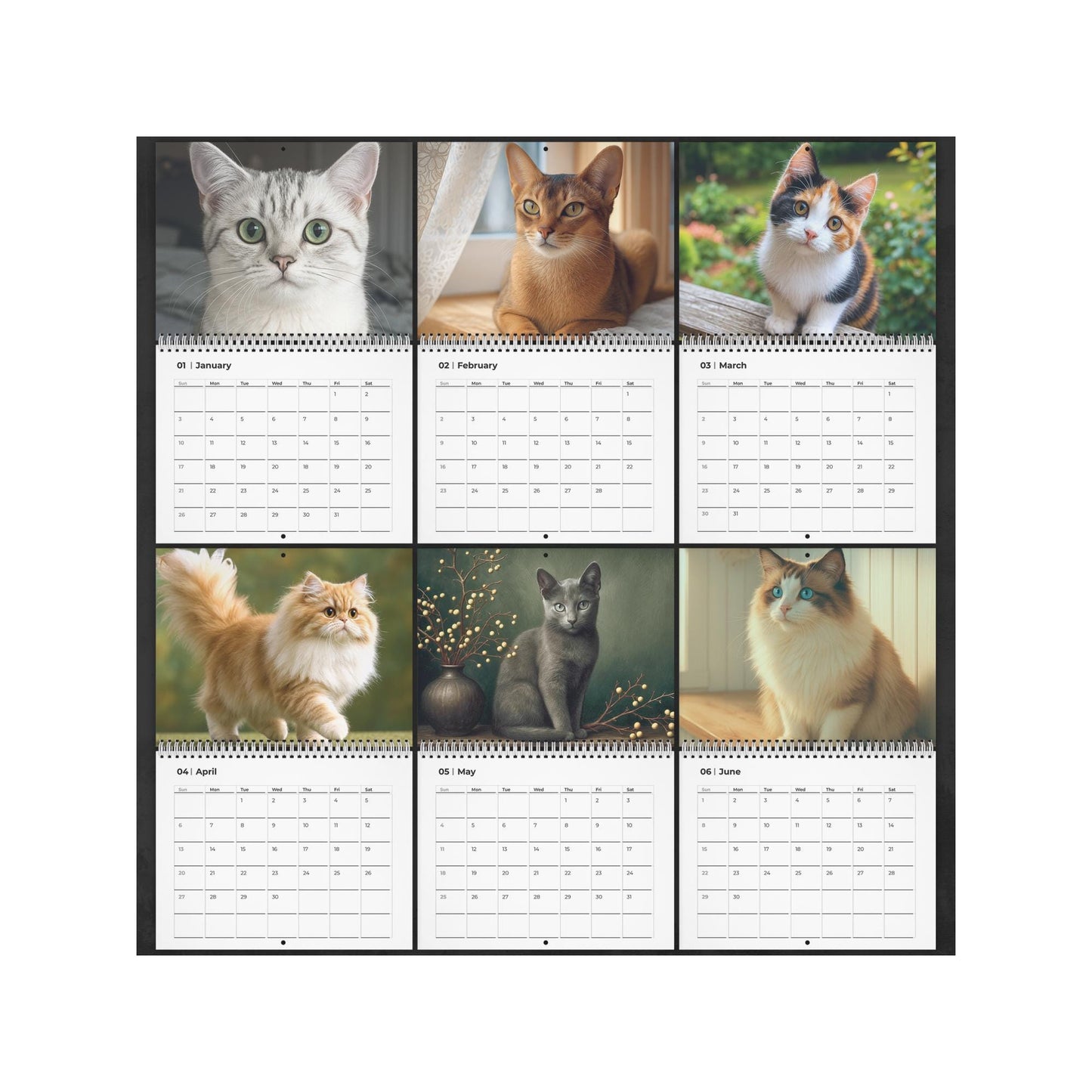 2026 Cat Breed Wall Calendar: Home Decor for Feline Enthusiasts & Pet Owners