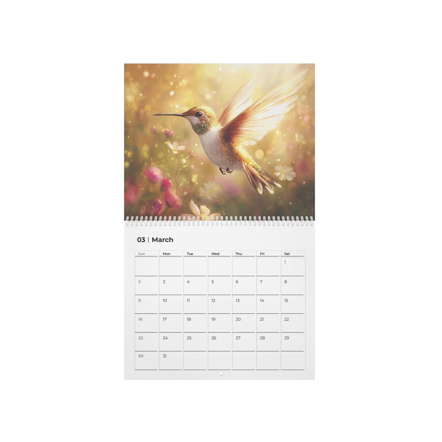 2026 Hummingbird Wall Calendar: Vibrant Monthly Planner with Colorful Bird Photography