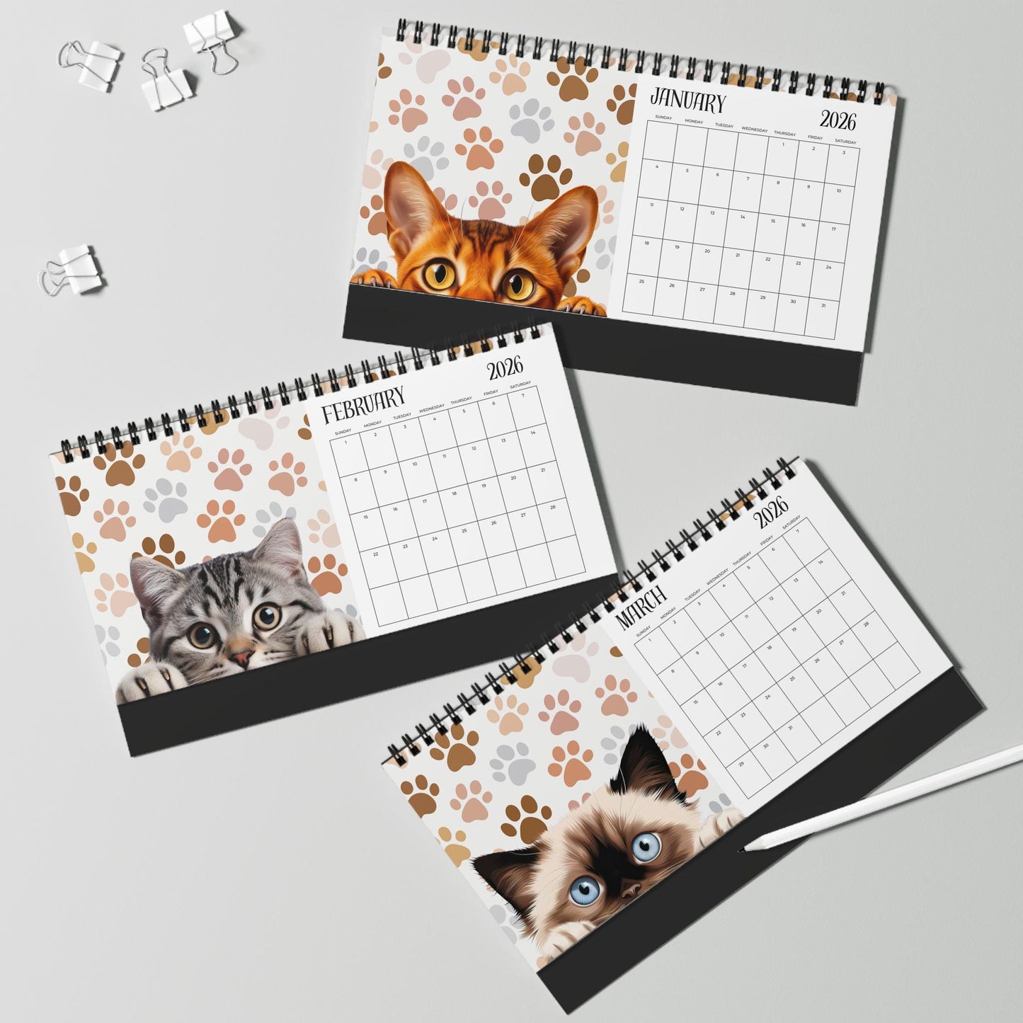 2026 Peeking Cat Desktop Calendar: Whimsical Planner Gift