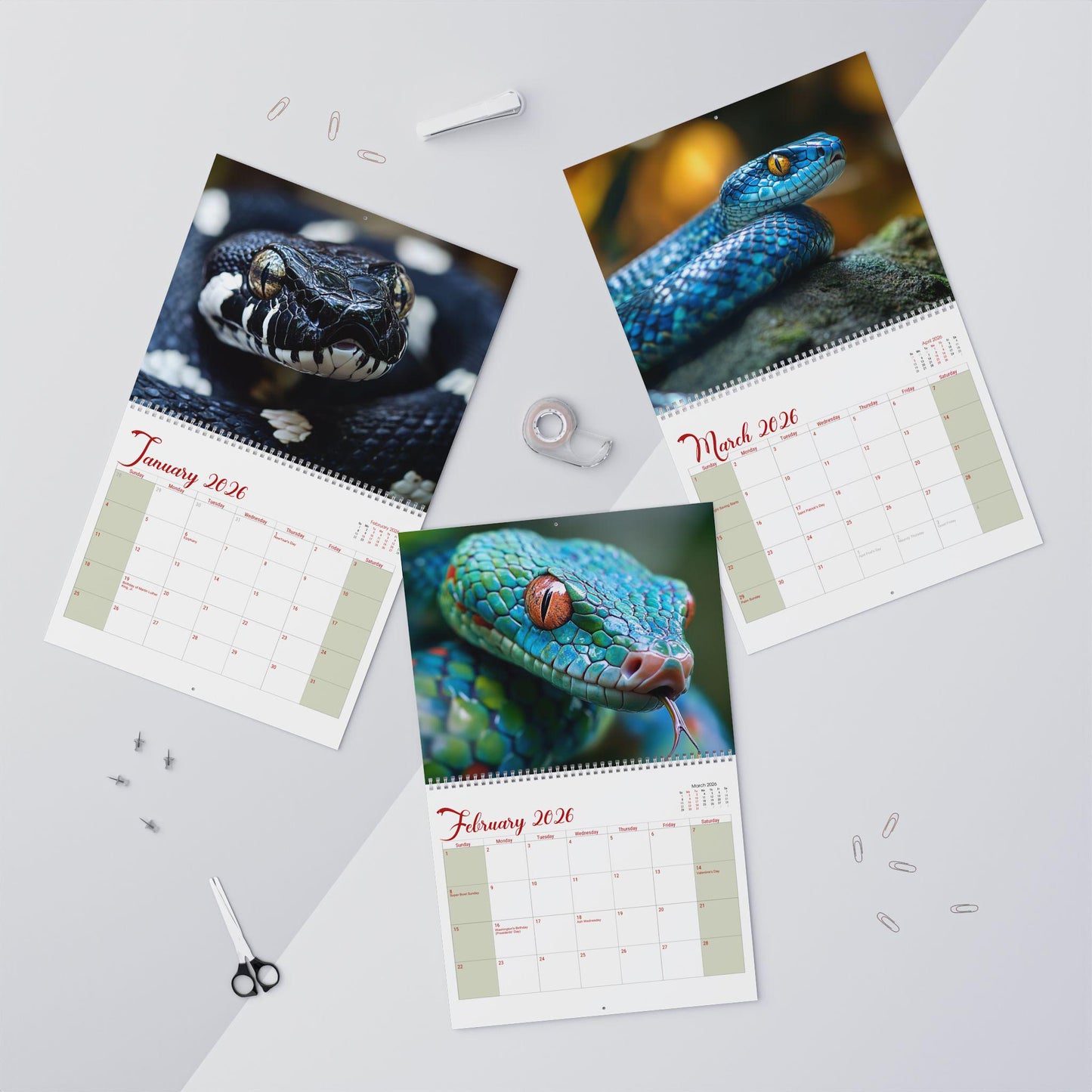 2026 Snake Wall Calendar: Reptile Planner & Monthly Organizer for Animal Lovers, Office Decor Gift