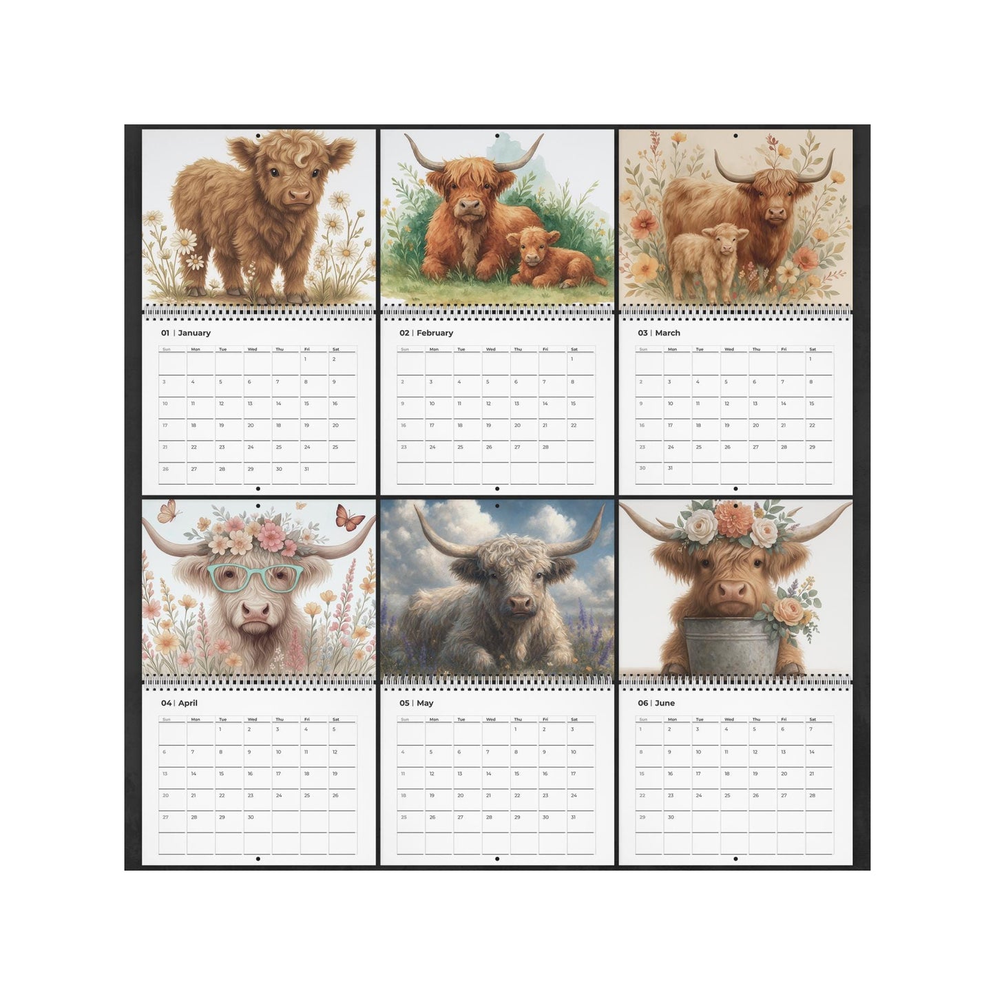 2026 Highland Cow Wall Calendar: Monthly Planner for Scottish Farm Animal a4 Lovers