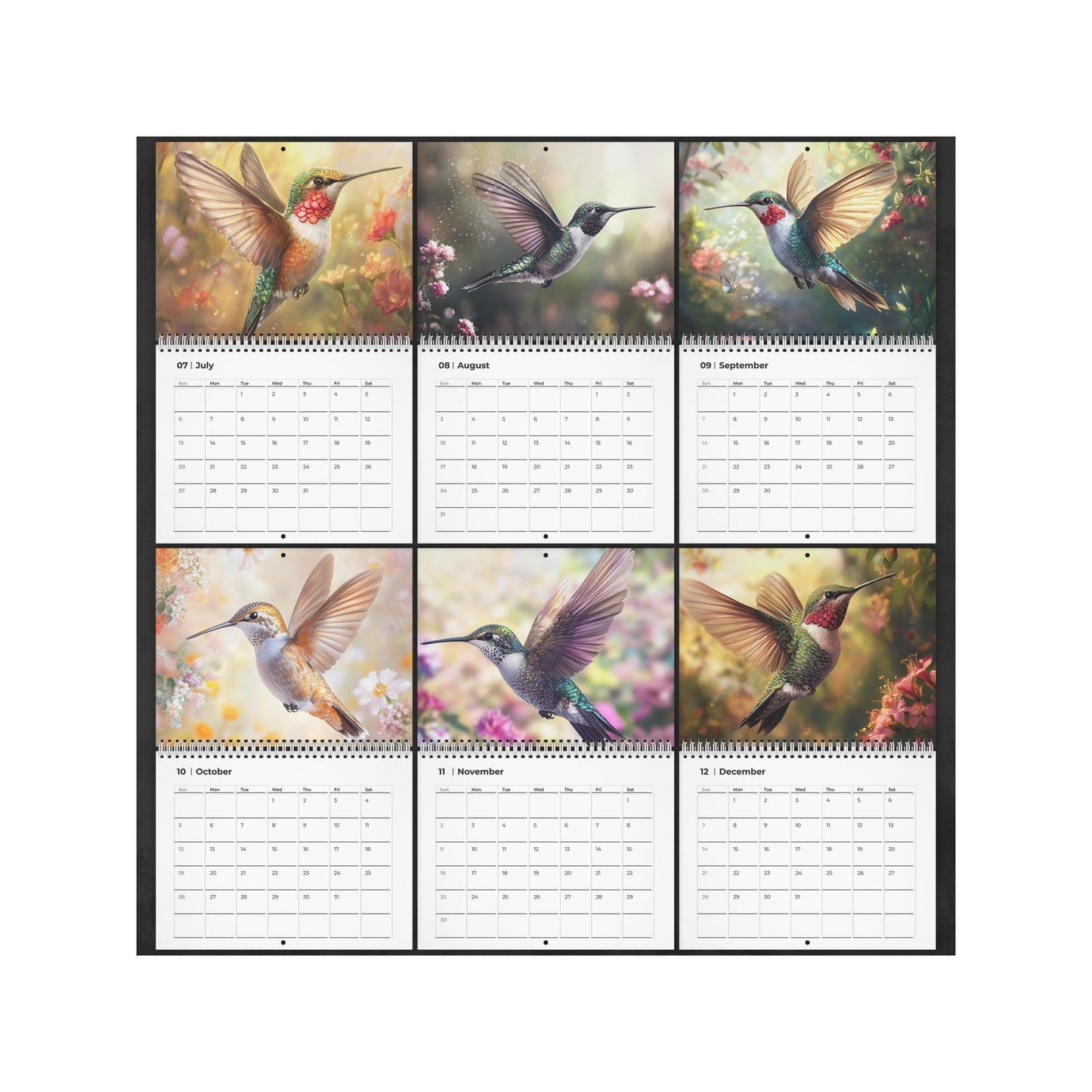 2026 Hummingbird Wall Calendar: Vibrant Monthly Planner with Colorful Bird Photography
