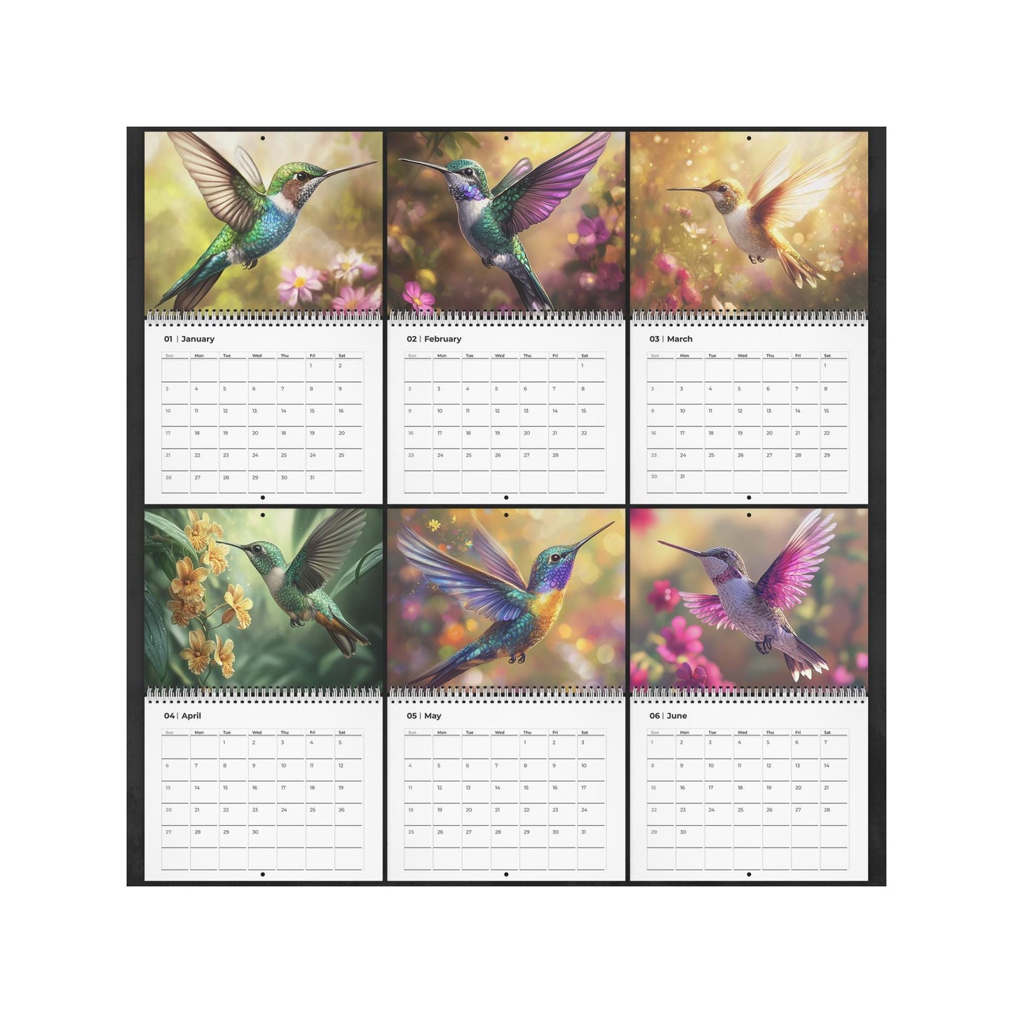 2026 Hummingbird Wall Calendar: Vibrant Monthly Planner with Colorful Bird Photography
