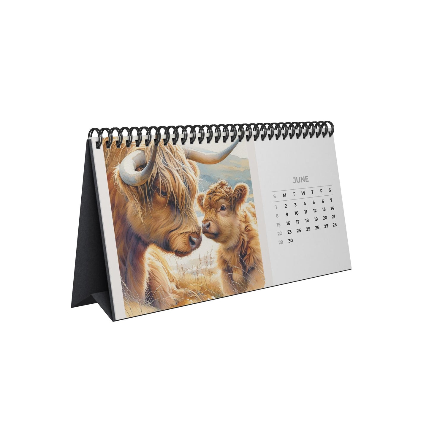 2026 Highland Cow Desktop Calendar: Rustic Farm Animal Photography for Office & Home Decor