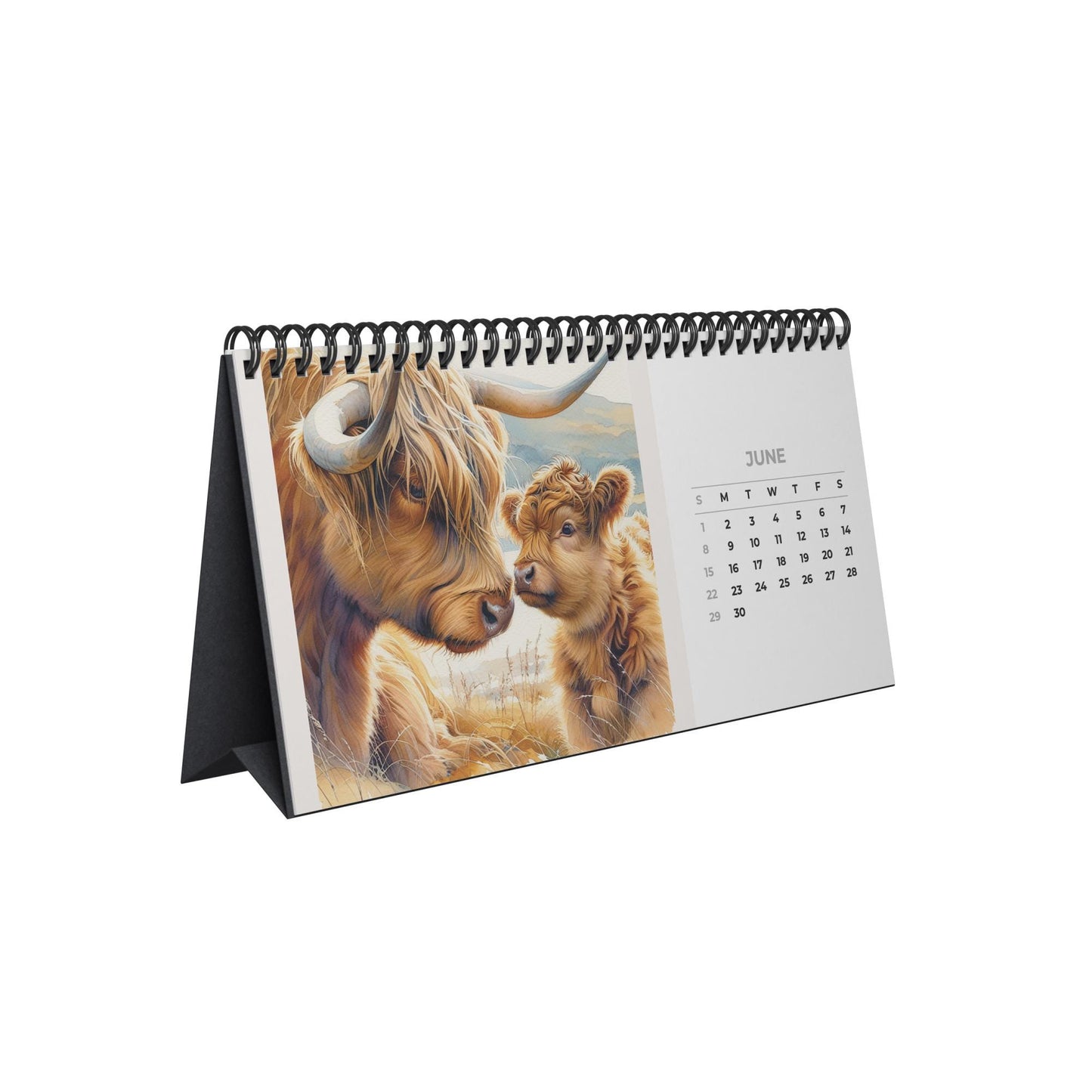 2026 Highland Cow Desktop Calendar: Rustic Farm Animal Photography for Office & Home Decor