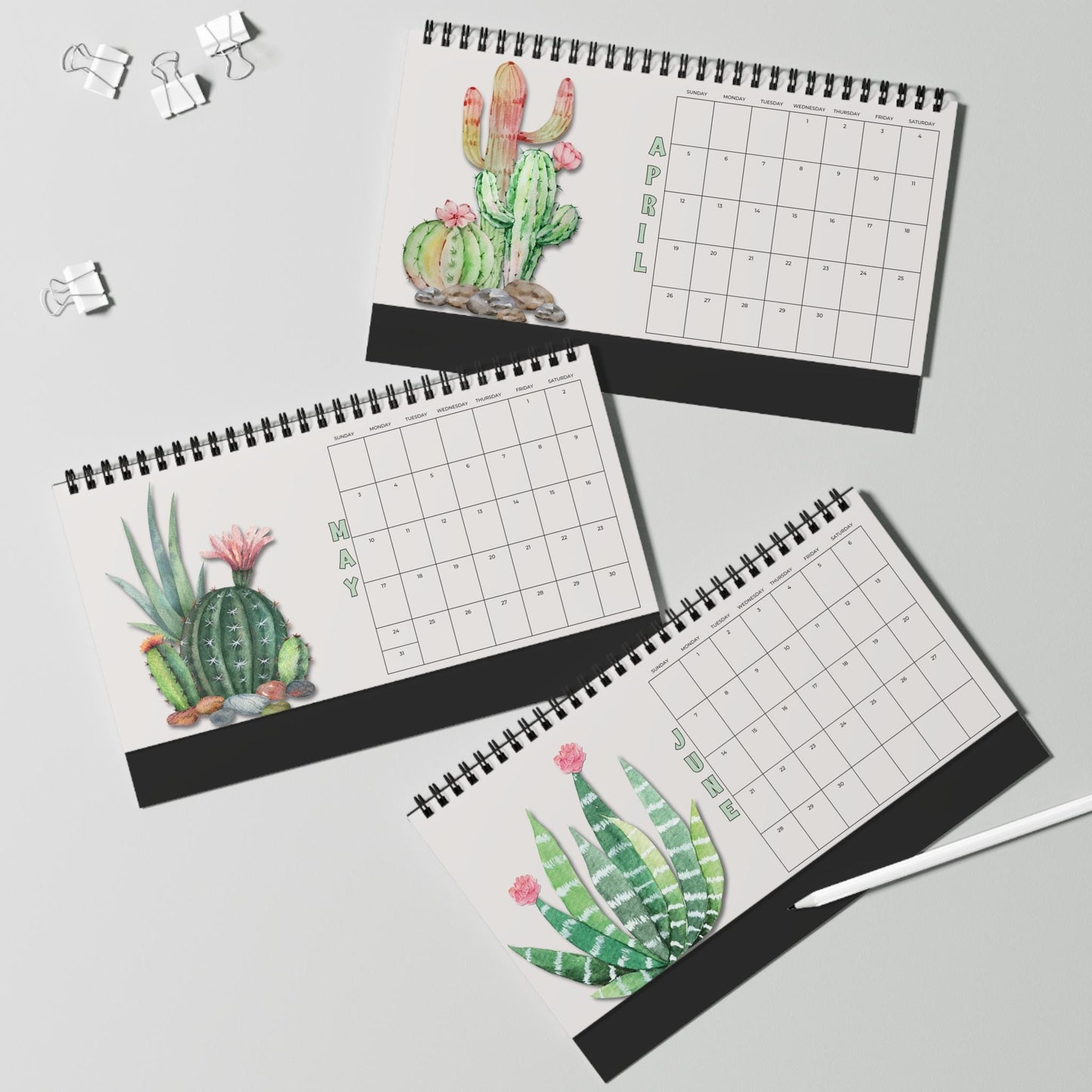 2026 Cactus Desktop Calendar: Monthly Planner for Nature Lovers, Office Organization & Succulent Decor