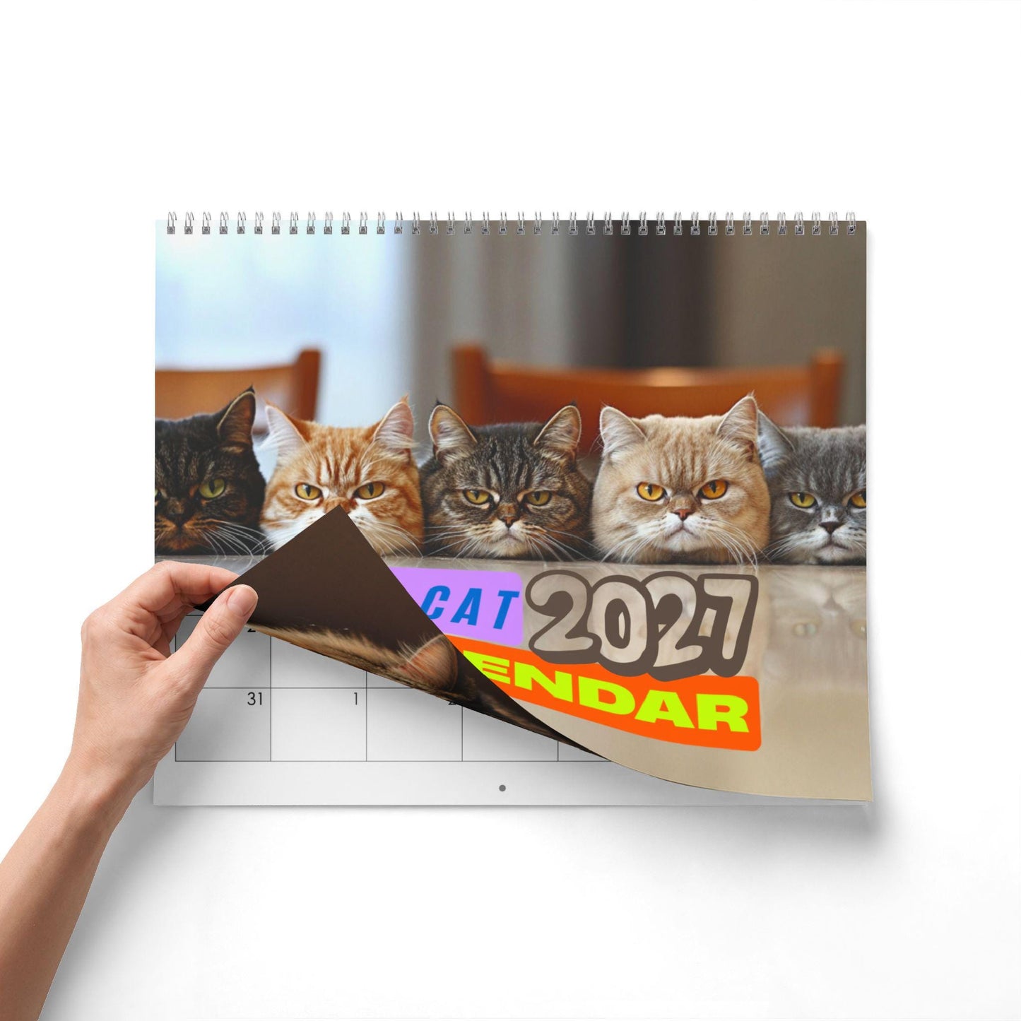 Fat Cat 2027 Wall Calendar | Playful Pet Photos, Writable Grid