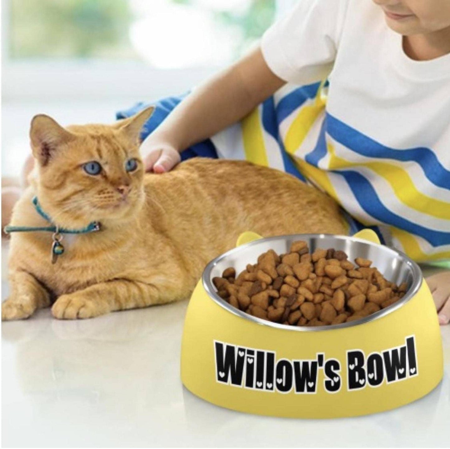 Custom Pet Bowl with Name, Personalized Stainless Steel Dish and Non-Slip Base