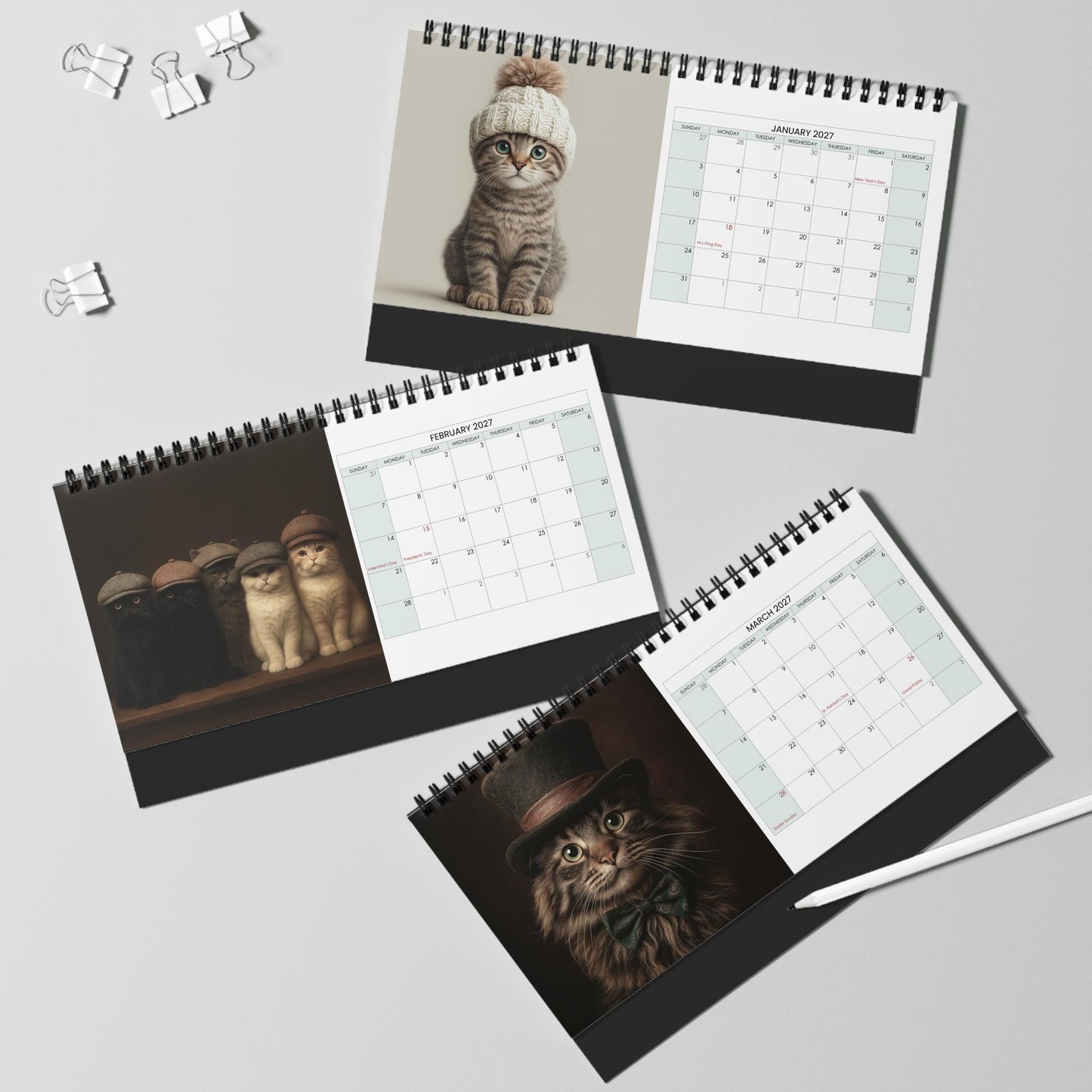 Cat Calendar, 2027 Blank 10 x 5 Inch 270 GSM Wire-Bound Desk Planner